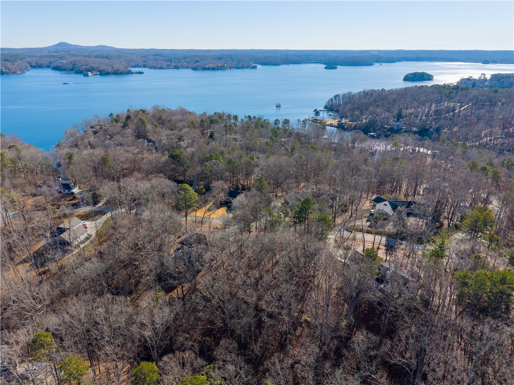 119 Beacon Ridge Circle, Unit LOT 43 Salem, SC 29676 - Photo 9 of 23 Gallery Image 9