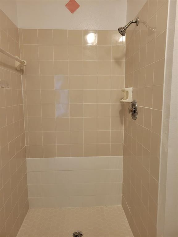 3133 Huron Avenue Oldsmar, FL 34677 - Photo 22 of 43 a bathroom with a shower