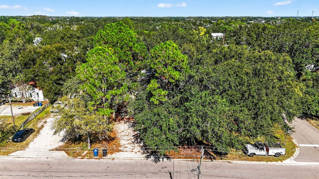 3133 Huron Avenue Oldsmar, FL 34677 - Photo 31 of 43 a view of a yard with an outdoor space