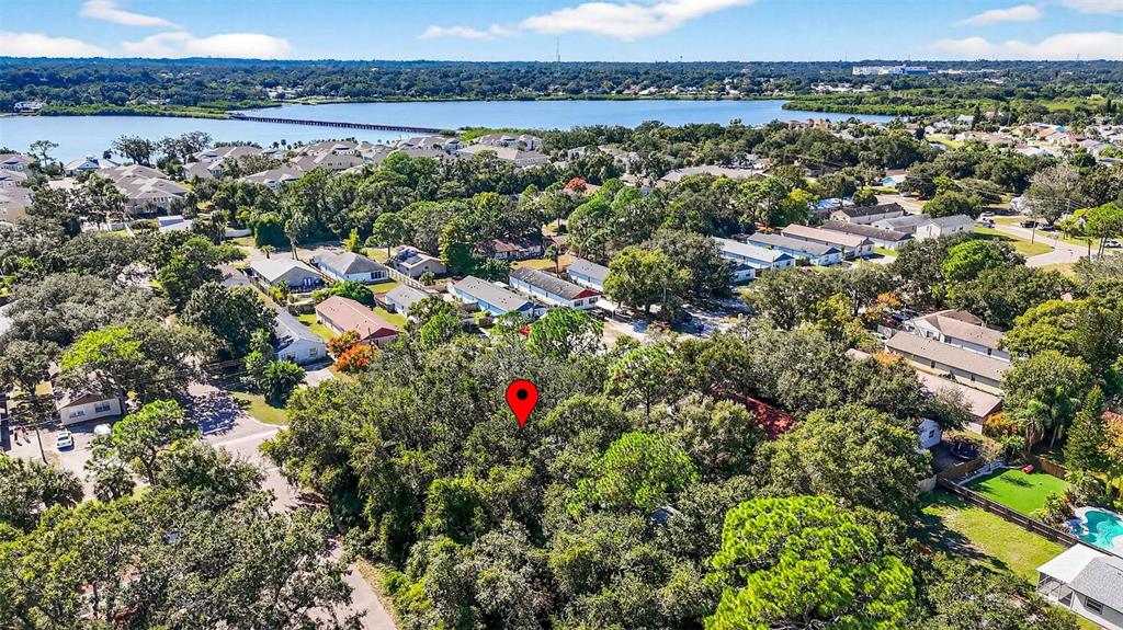 3133 Huron Avenue Oldsmar, FL 34677 - Photo 37 of 43 view of a lake view