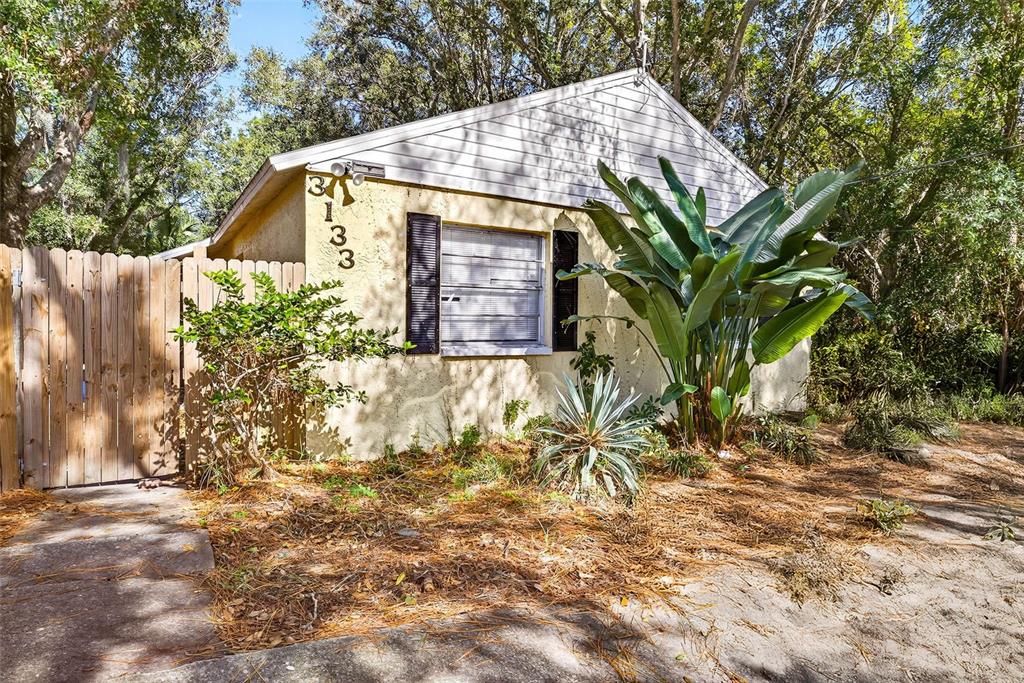 3133 Huron Avenue Oldsmar, FL 34677 - Photo 4 of 43 a view of a back yard of the house