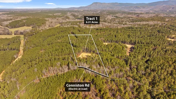 $69,900 | 1 Conniston Road, Chatsworth, GA 30705