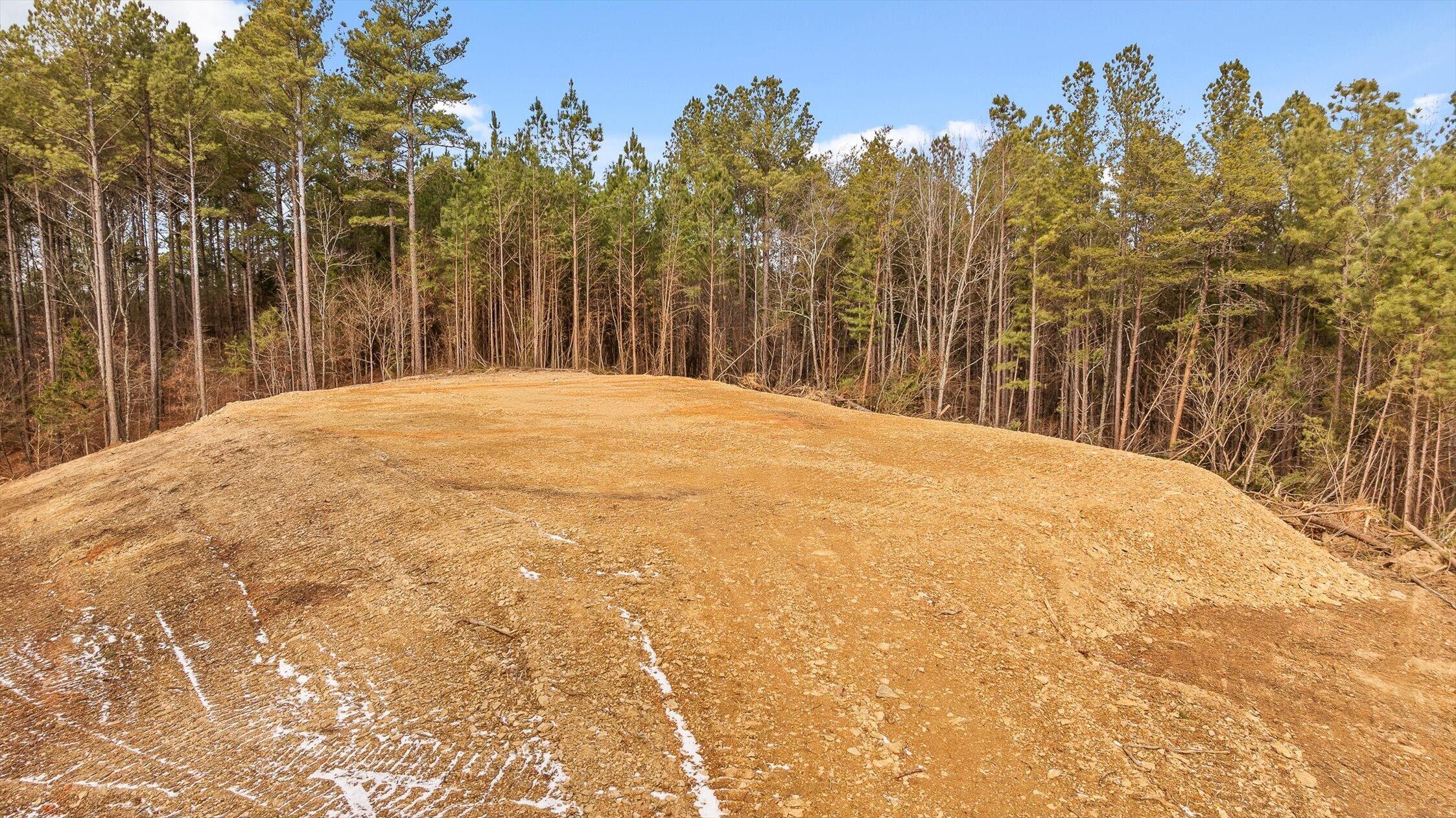 1 Conniston Road Chatsworth, GA 30705 - Photo 12 of 31 26-Tract 1 -25