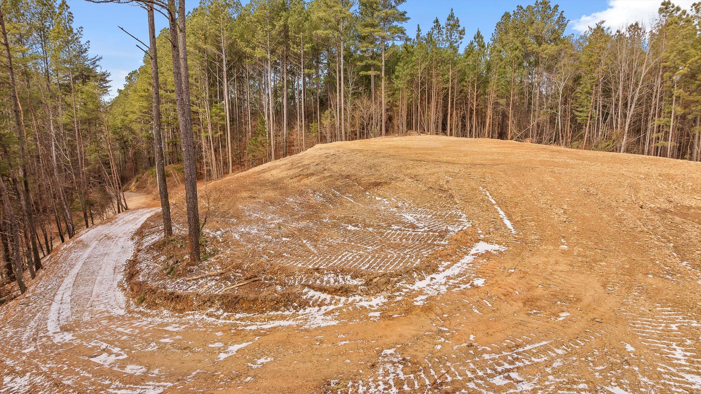 1 Conniston Road Chatsworth, GA 30705 - Photo 13 of 31 25-Tract 1 -24