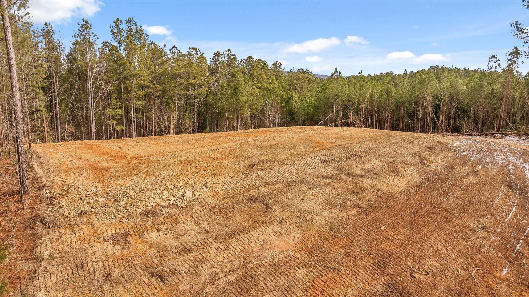 1 Conniston Road Chatsworth, GA 30705 - Photo 14 of 31 24-Tract 1 -23