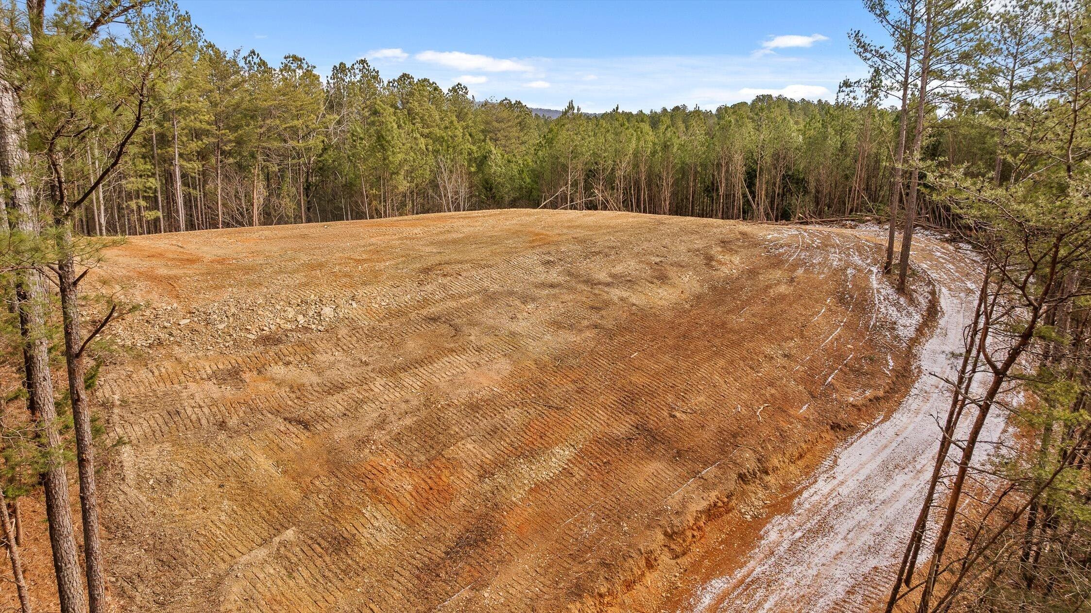 1 Conniston Road Chatsworth, GA 30705 - Photo 15 of 31 23-Tract 1 -22