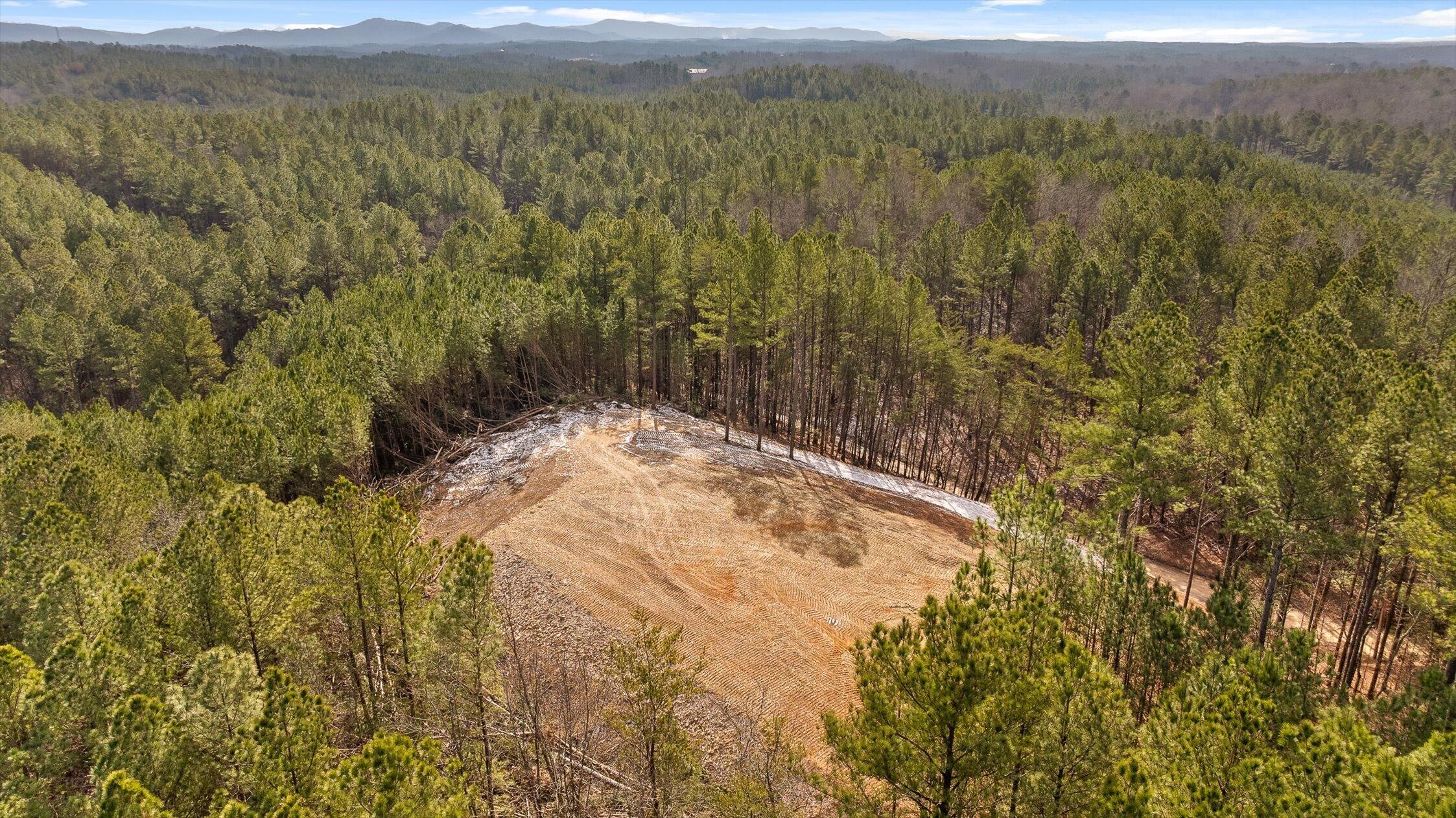 1 Conniston Road Chatsworth, GA 30705 - Photo 19 of 31 19-Tract 1 -18