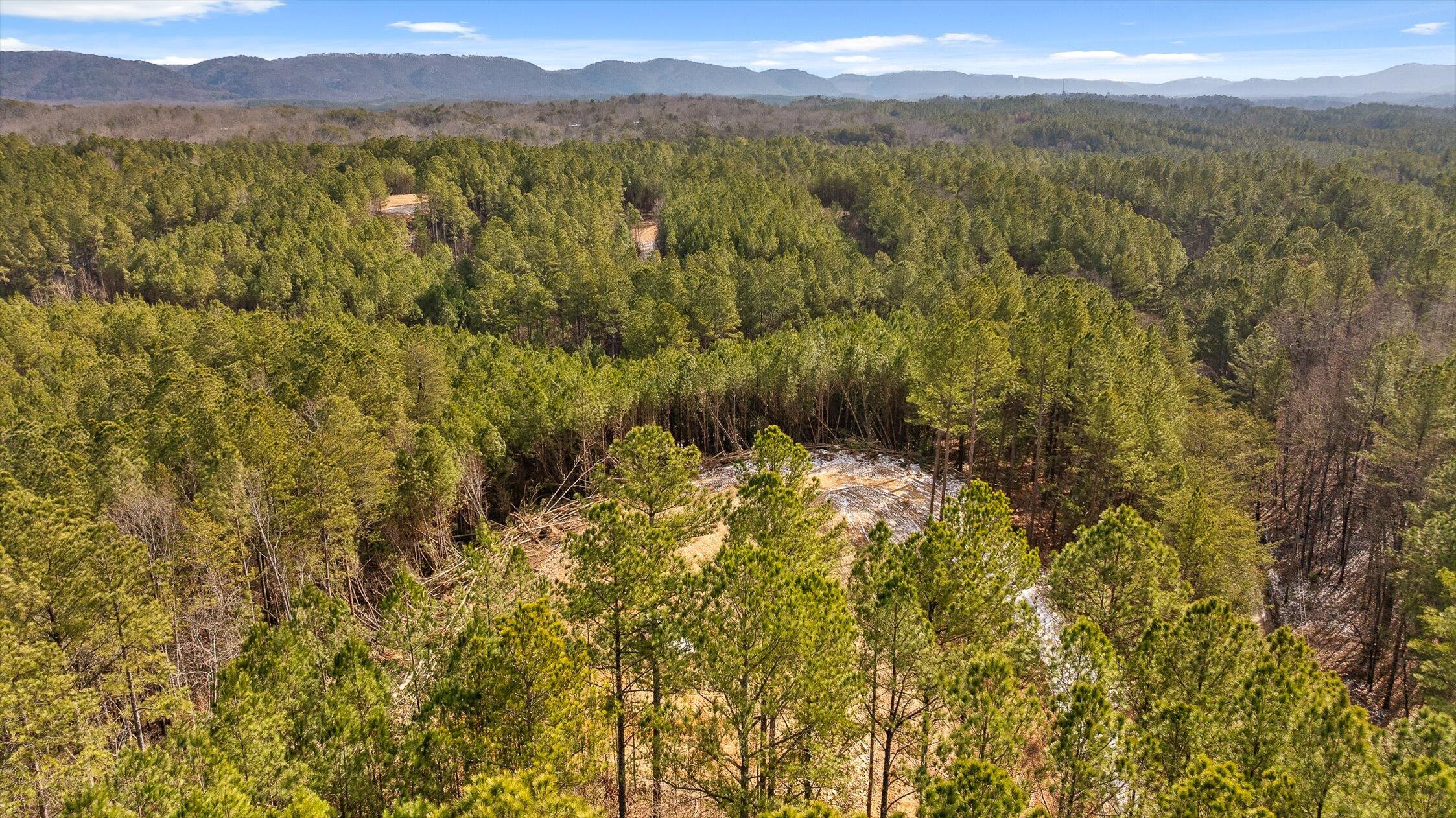 1 Conniston Road Chatsworth, GA 30705 - Photo 20 of 31 18-Tract 1 -17