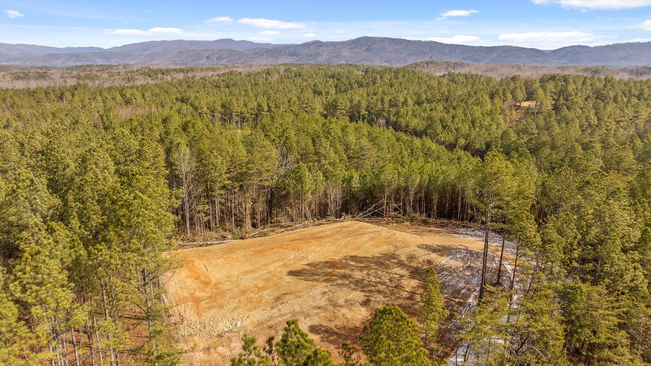 1 Conniston Road Chatsworth, GA 30705 - Photo 21 of 31 17-Tract 1 -16