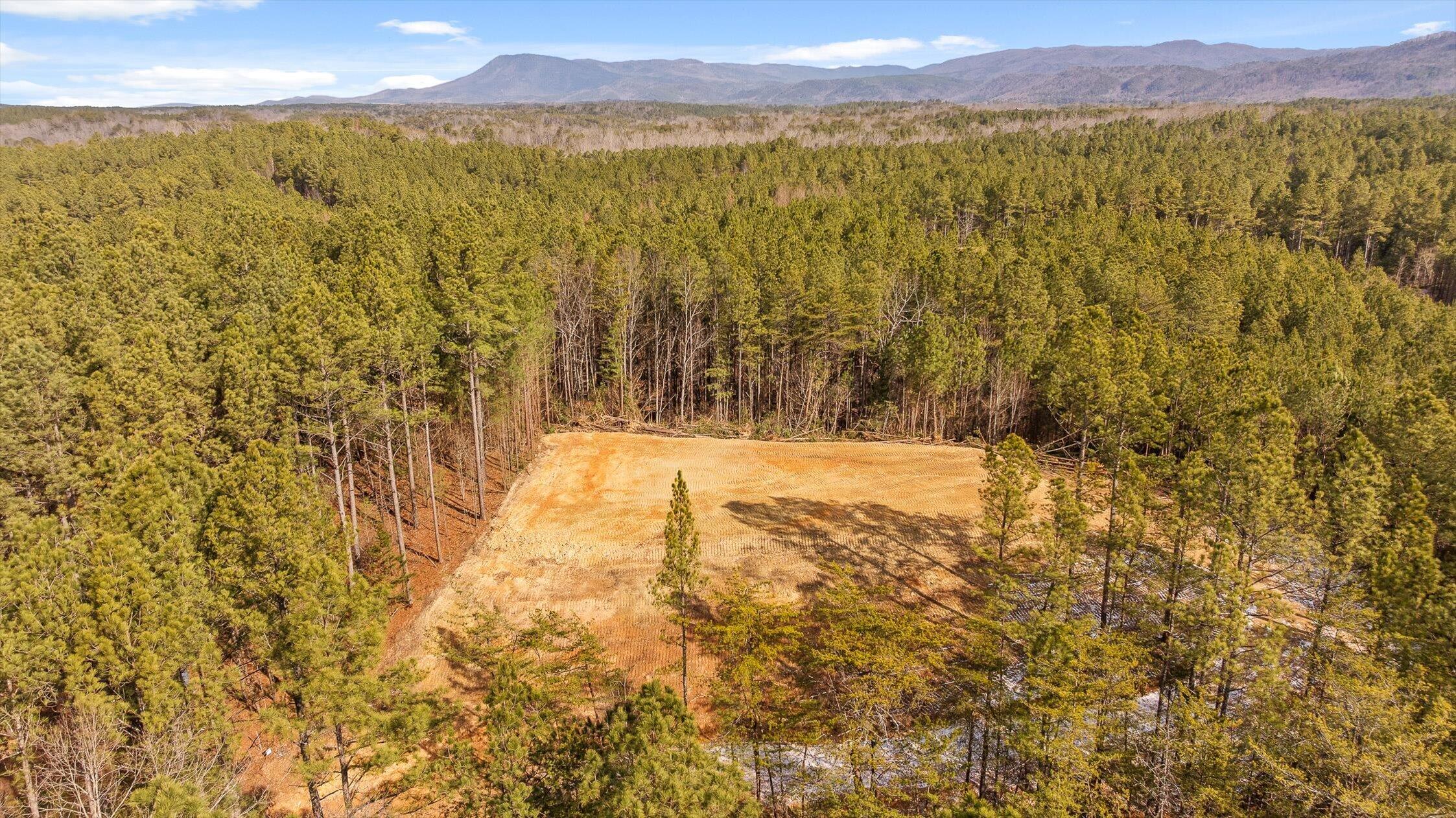 1 Conniston Road Chatsworth, GA 30705 - Photo 22 of 31 16-Tract 1 -15