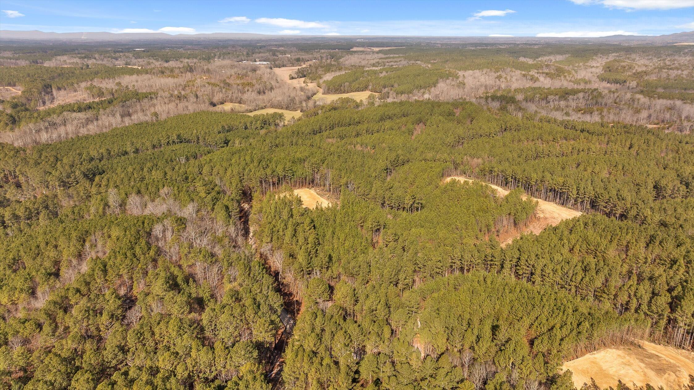 1 Conniston Road Chatsworth, GA 30705 - Photo 23 of 31 15-Tract 1 -14