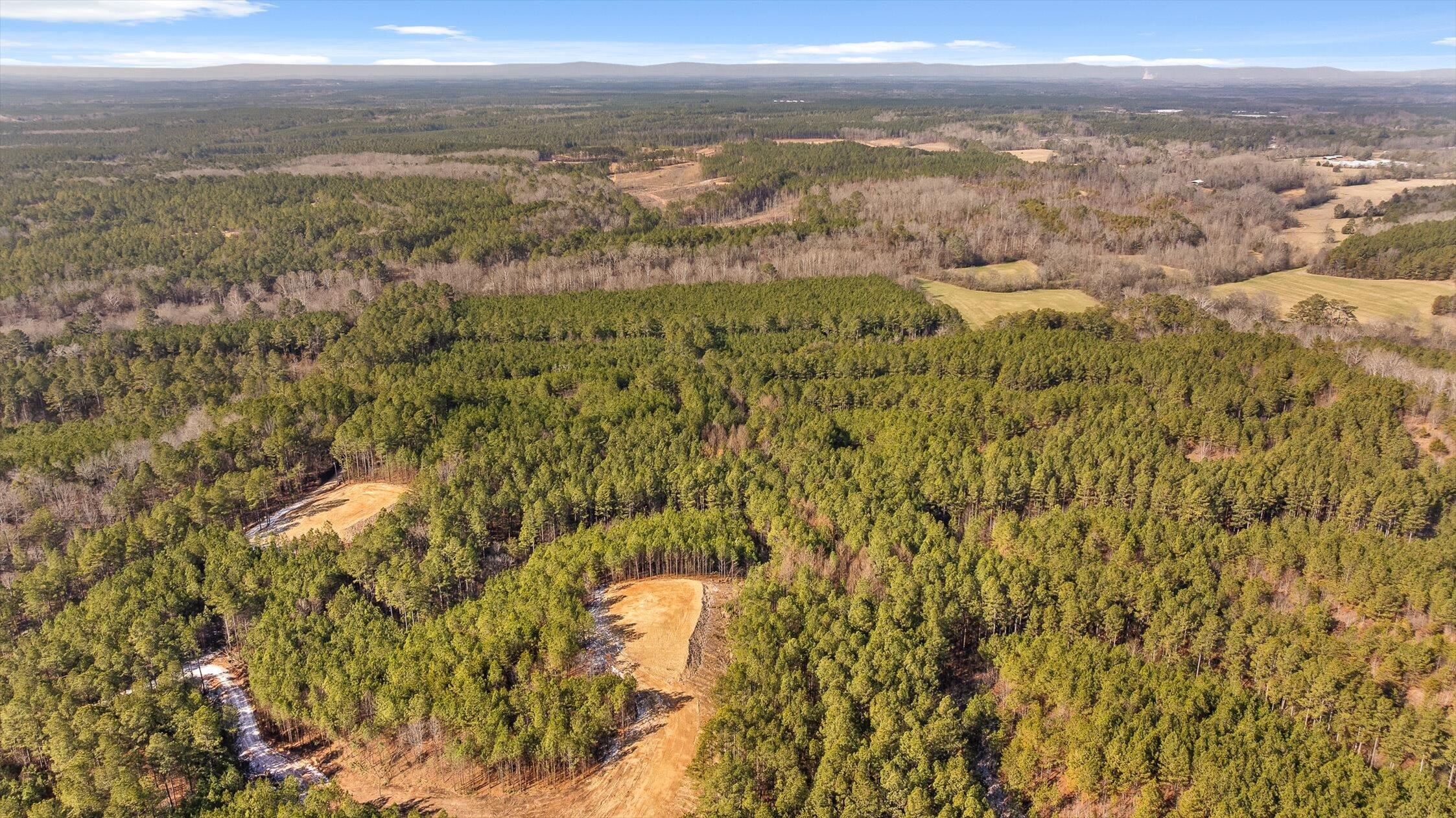 1 Conniston Road Chatsworth, GA 30705 - Photo 24 of 31 14-Tract 1 -13