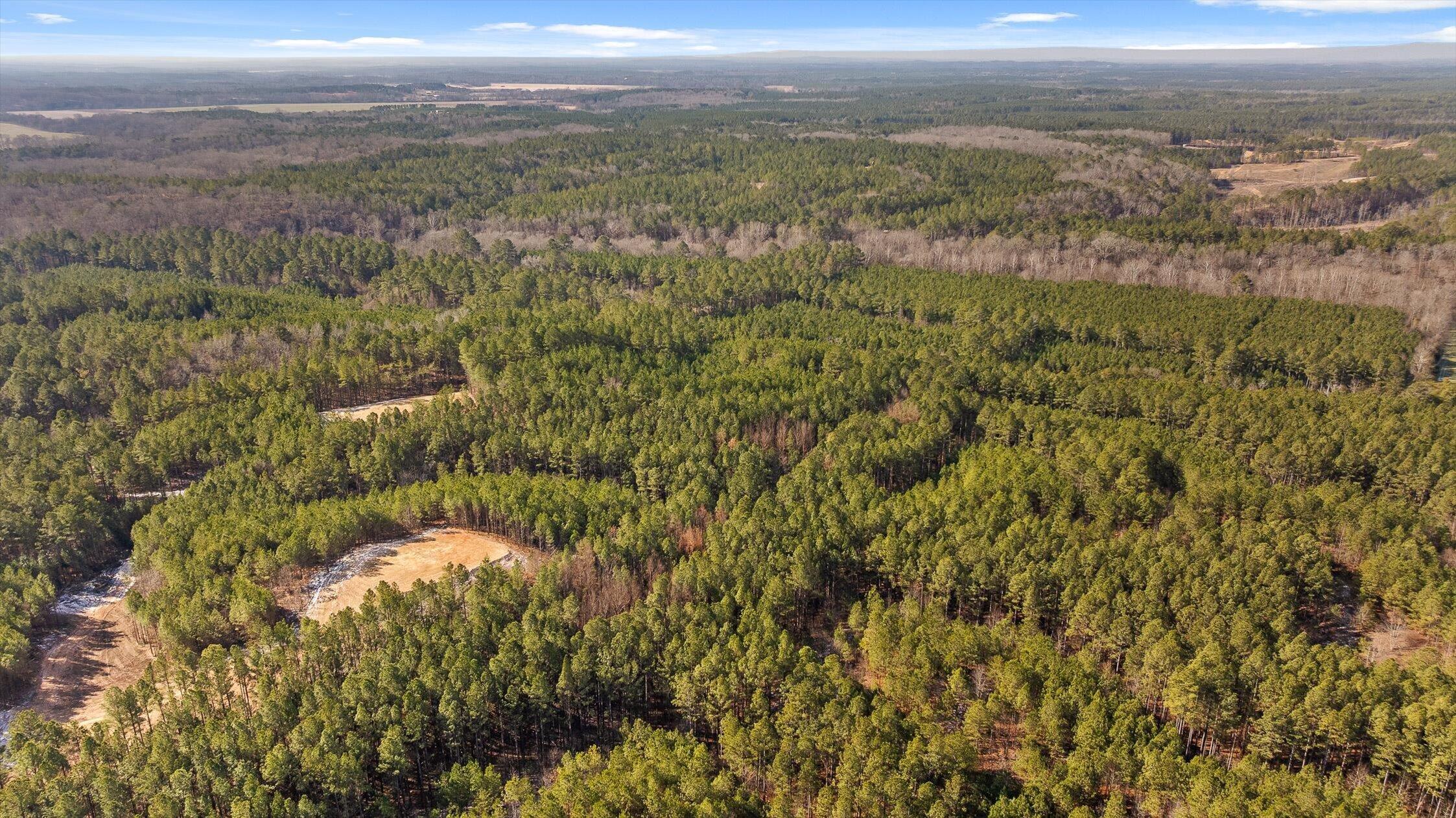 1 Conniston Road Chatsworth, GA 30705 - Photo 25 of 31 13-Tract 1 -12