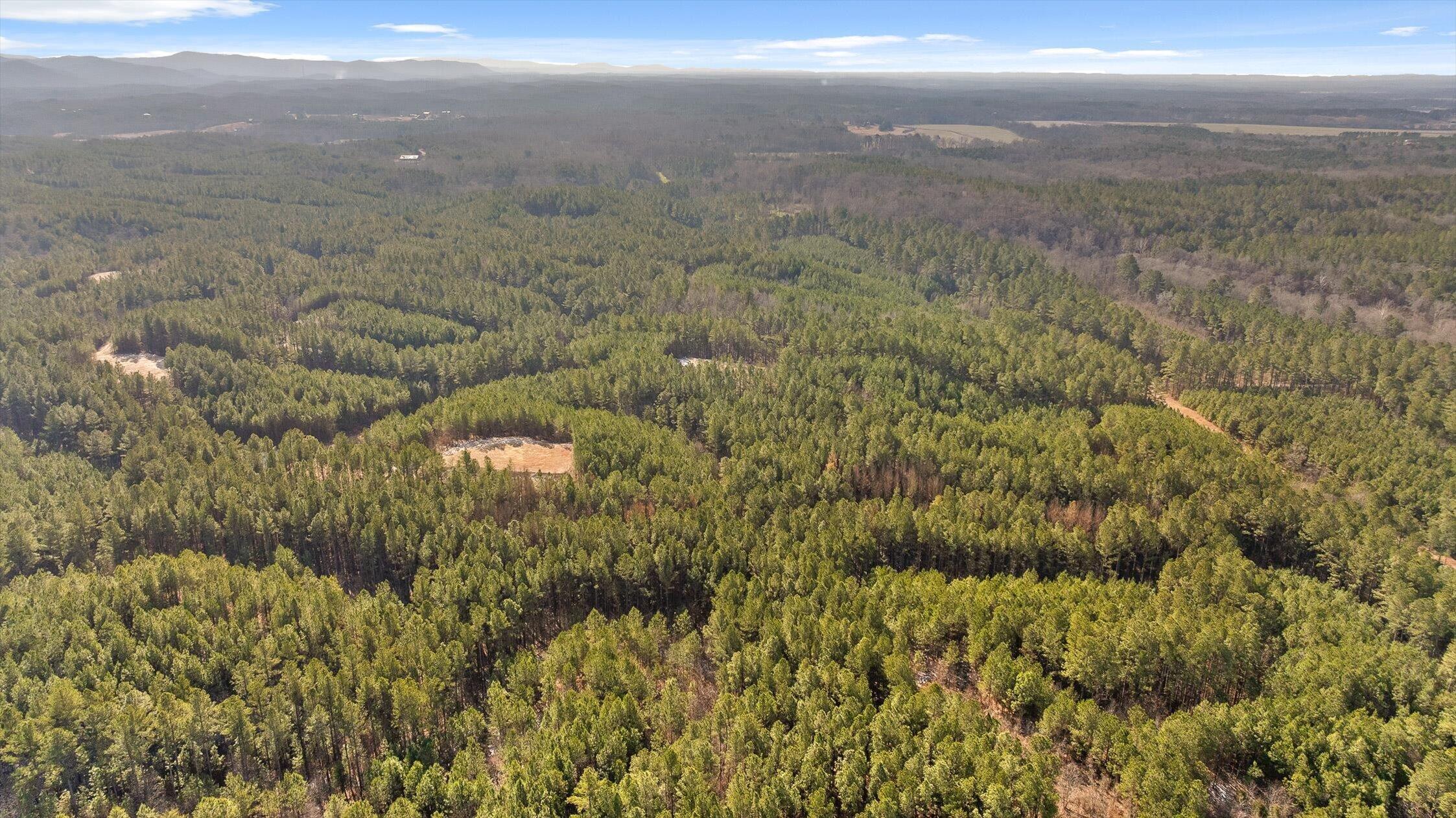 1 Conniston Road Chatsworth, GA 30705 - Photo 26 of 31 12-Tract 1 -11