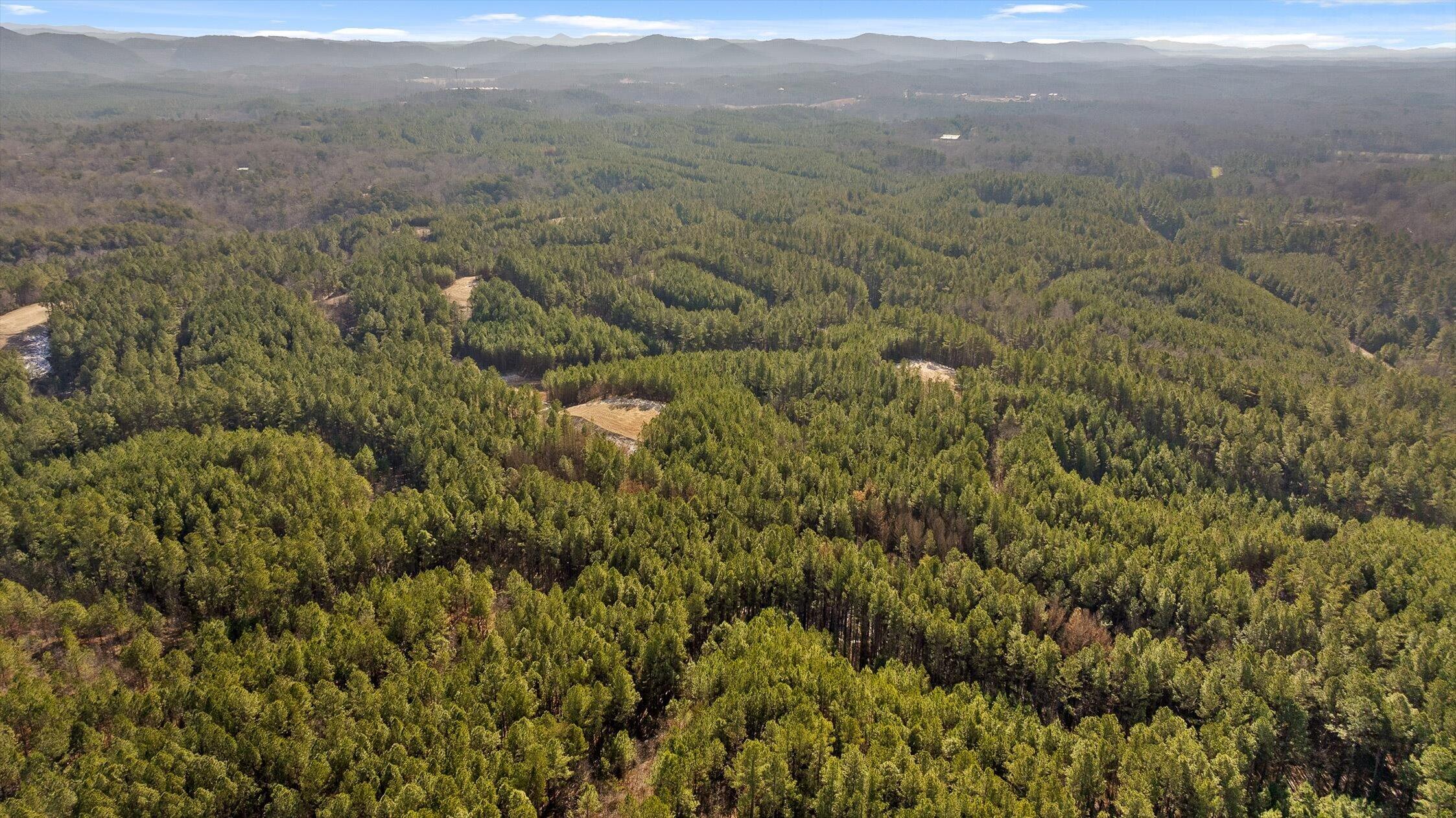 1 Conniston Road Chatsworth, GA 30705 - Photo 27 of 31 11-Tract 1 -10