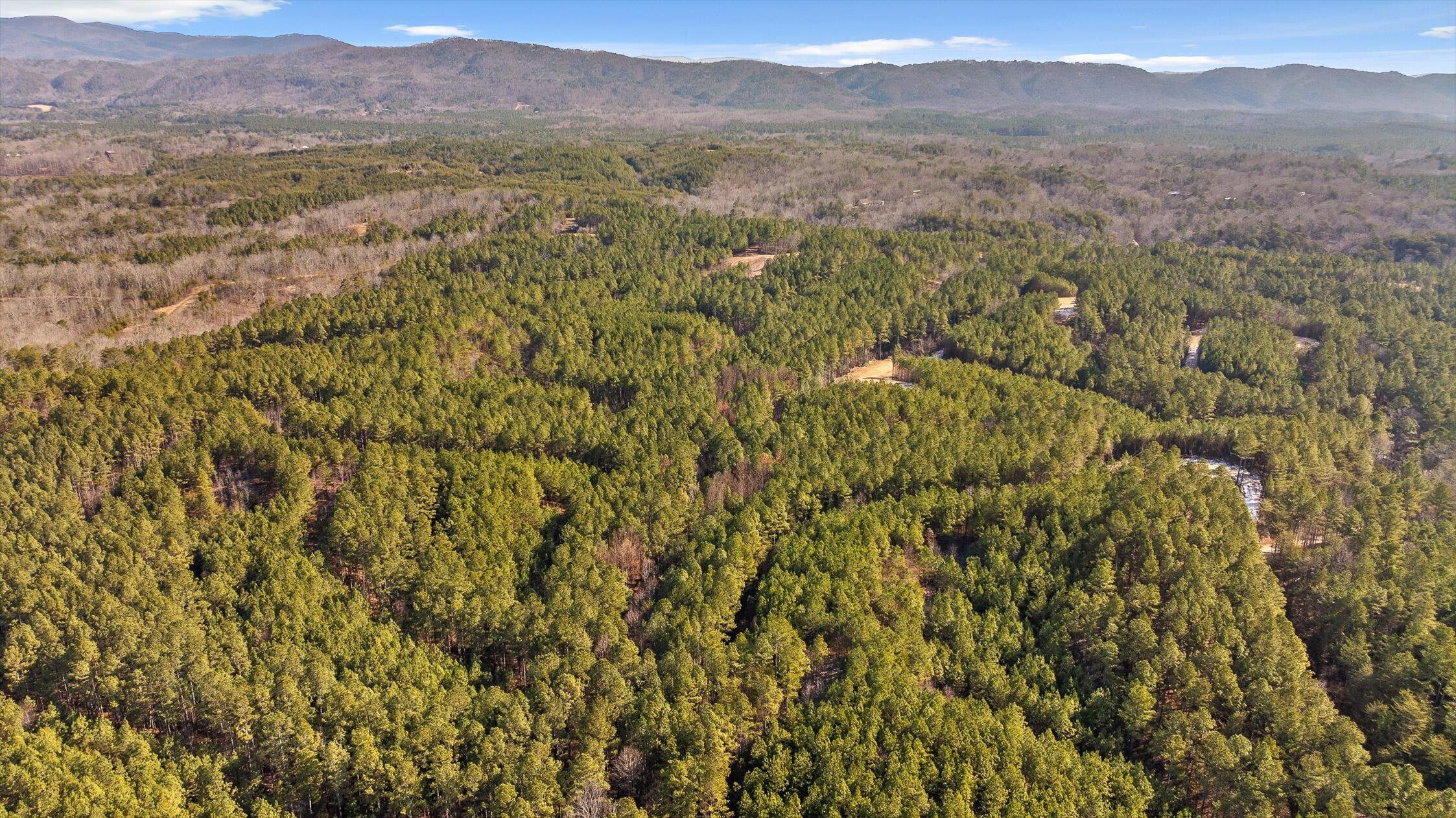 1 Conniston Road Chatsworth, GA 30705 - Photo 28 of 31 10-Tract 1 -9