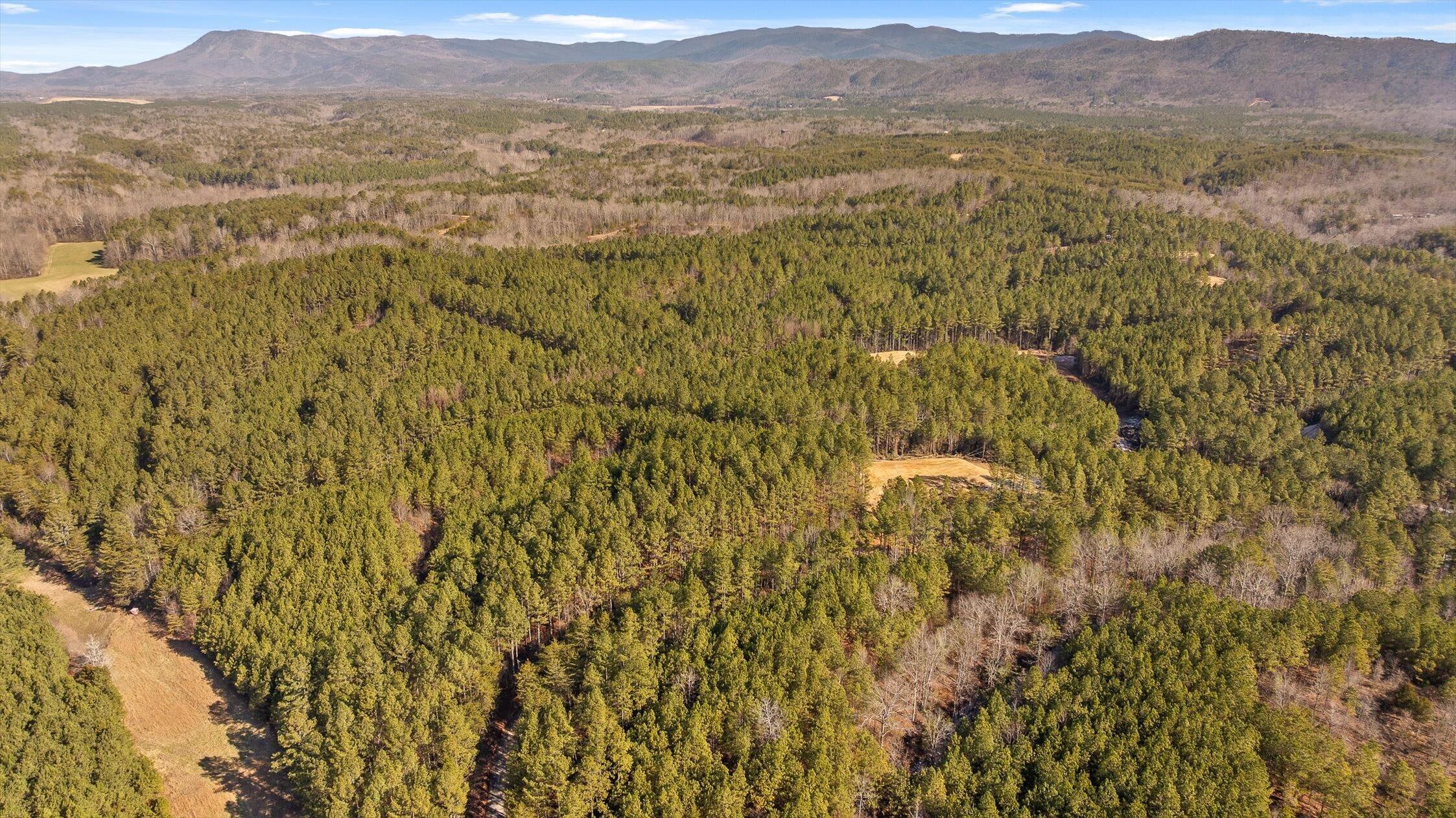 1 Conniston Road Chatsworth, GA 30705 - Photo 29 of 31 09-Tract 1 -8