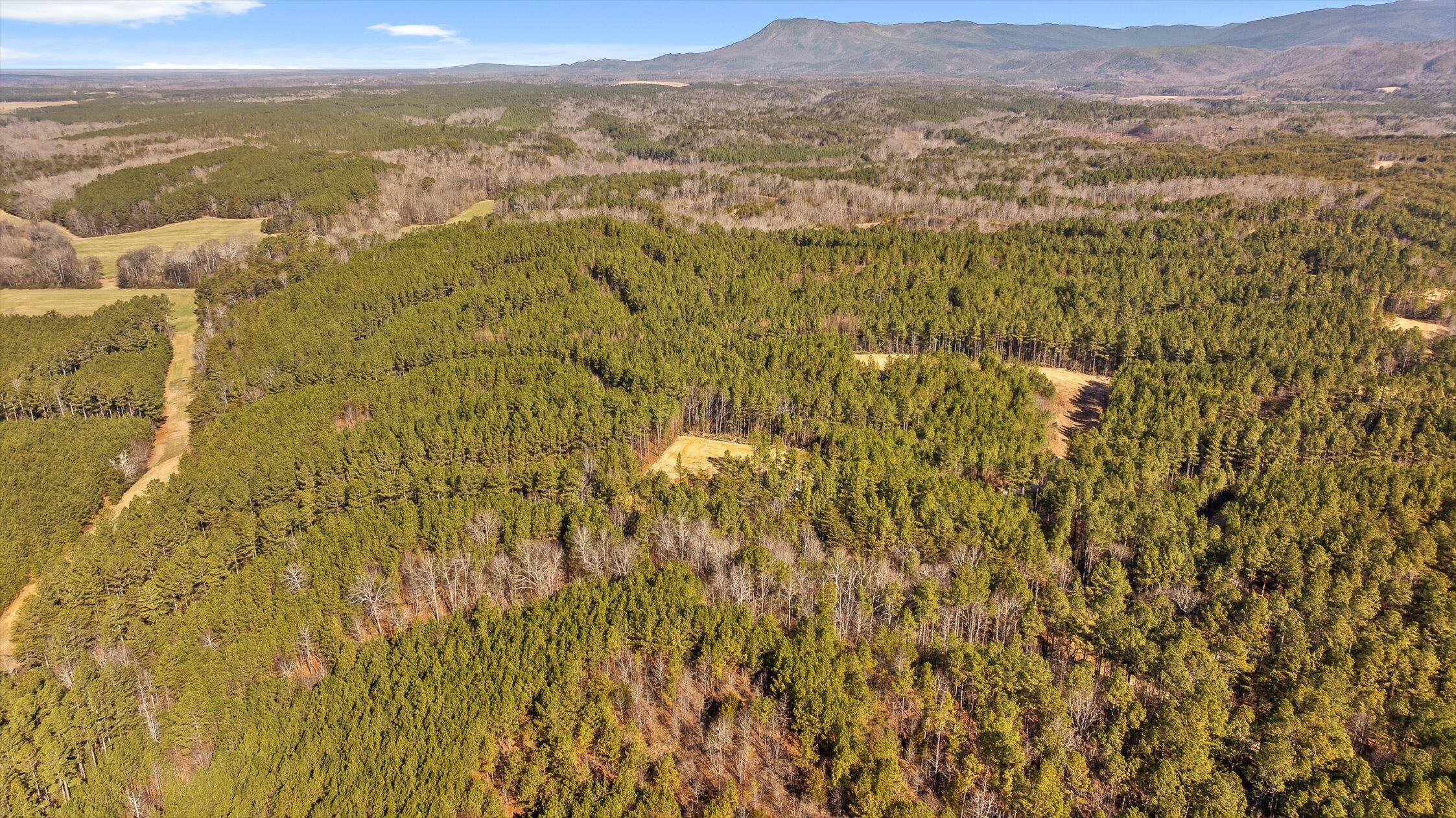 1 Conniston Road Chatsworth, GA 30705 - Photo 30 of 31 08-Tract 1 -7