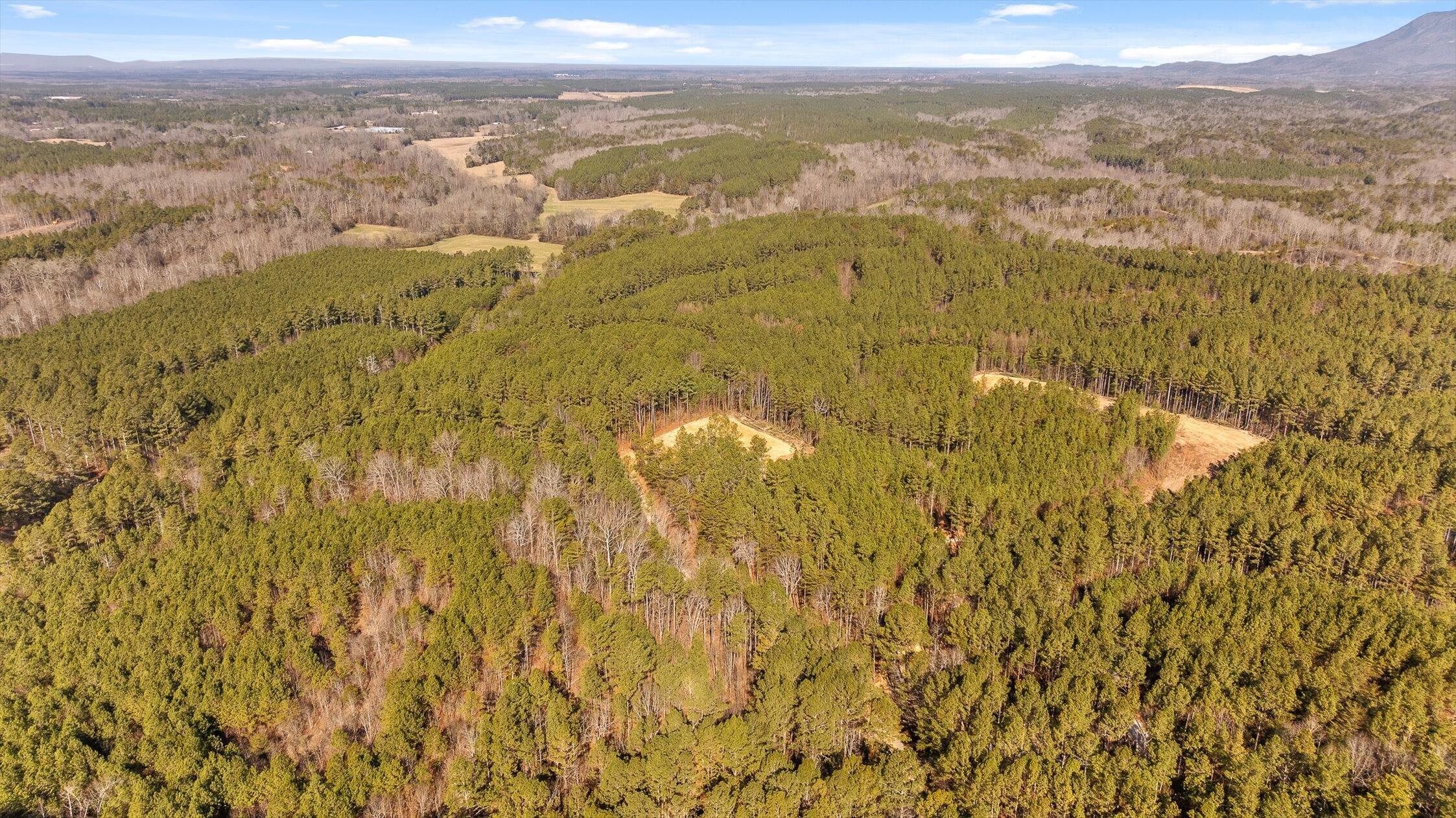 1 Conniston Road Chatsworth, GA 30705 - Photo 31 of 31 07-Tract 1 -6