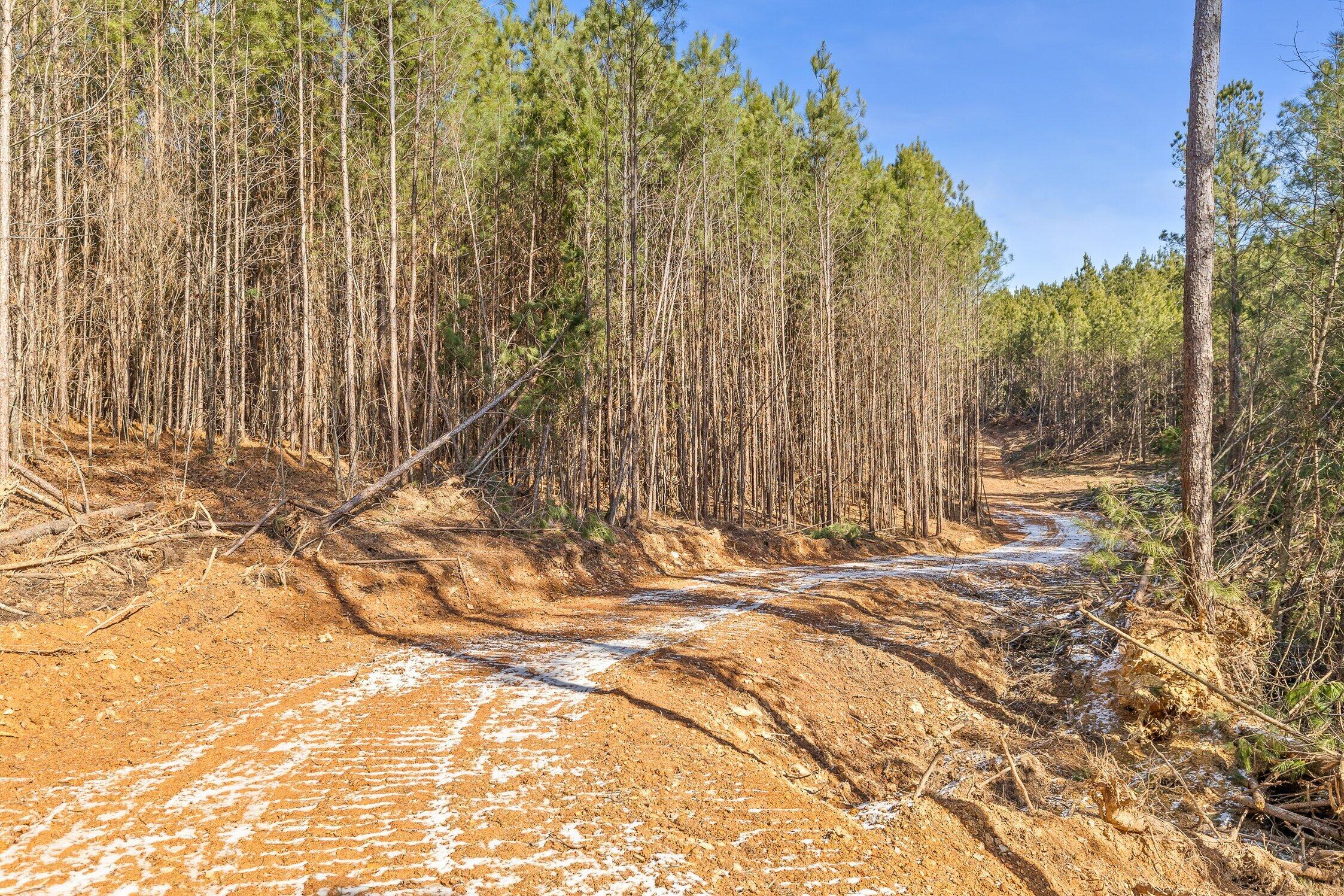 1 Conniston Road Chatsworth, GA 30705 - Photo 5 of 31 Tracts1,2,3,4, 11 Driveway