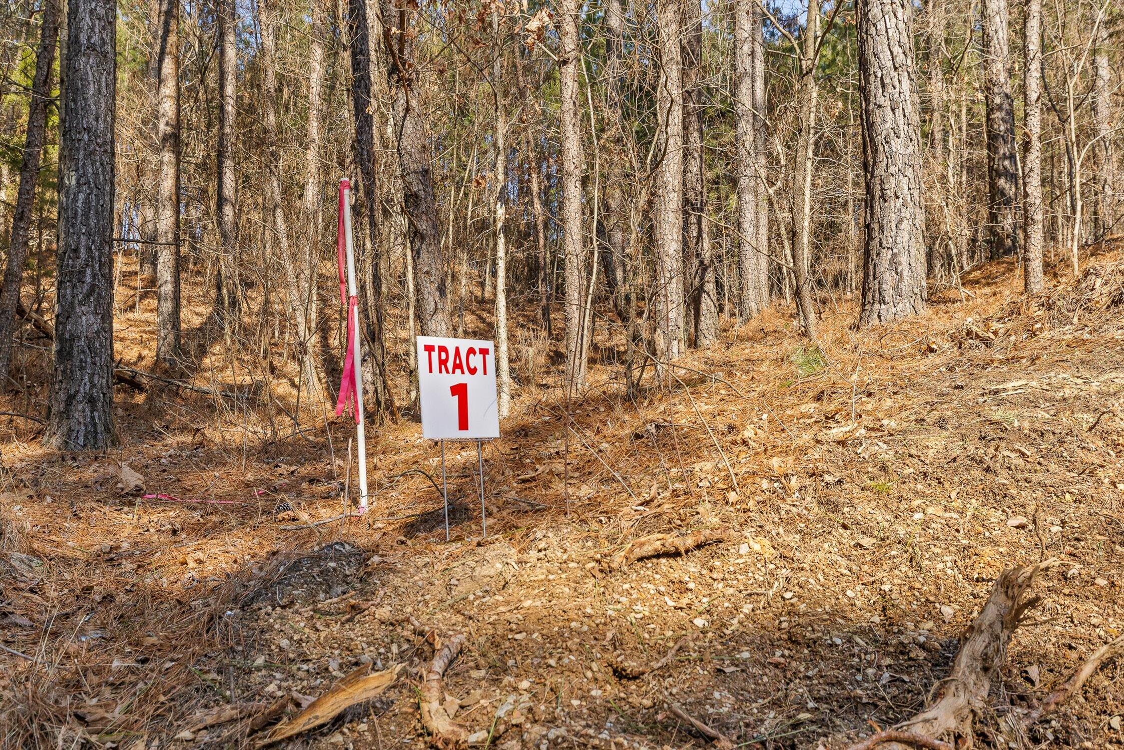 1 Conniston Road Chatsworth, GA 30705 - Photo 6 of 31 06-Tract 1 -5