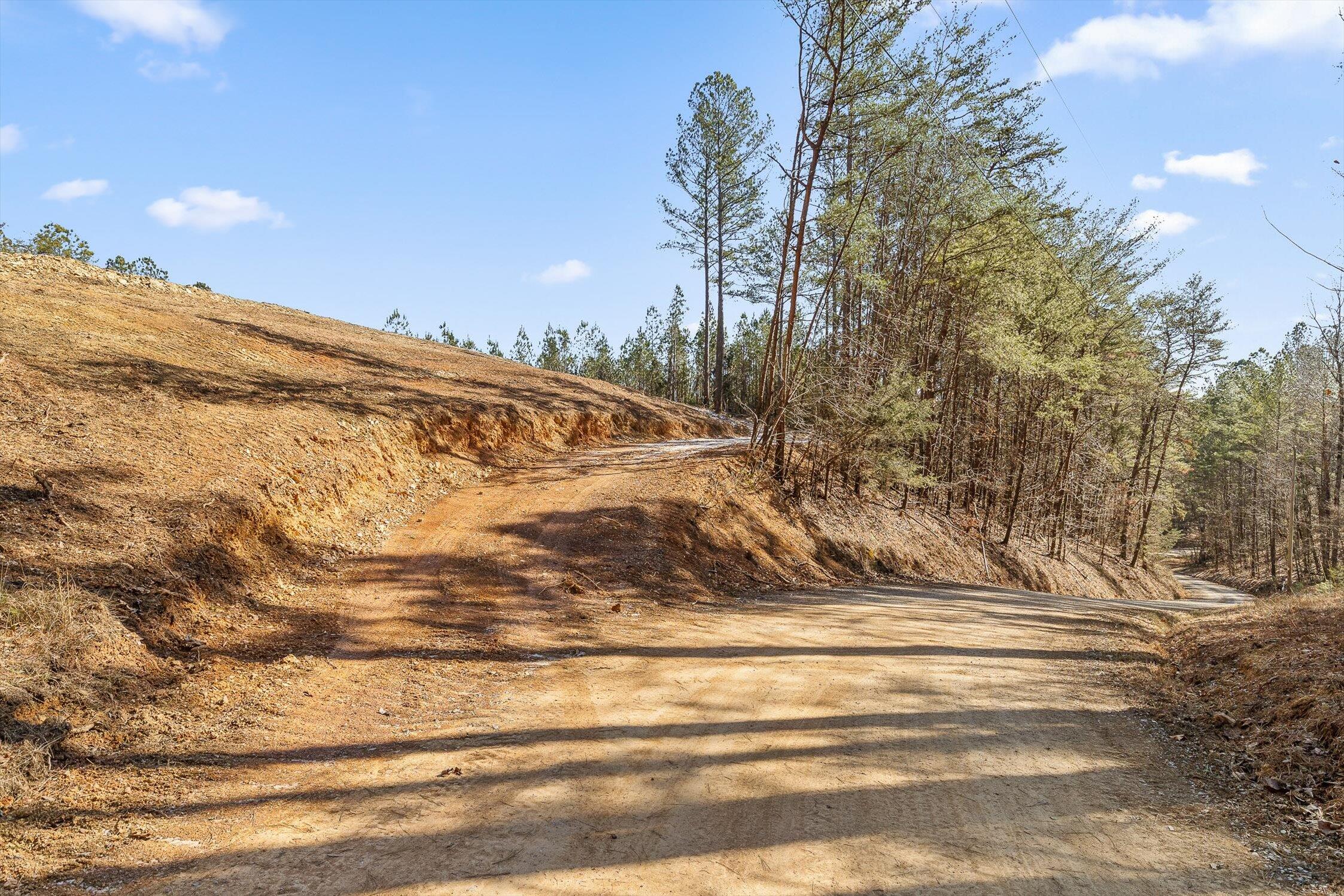 1 Conniston Road Chatsworth, GA 30705 - Photo 7 of 31 05-Tract 1 -4