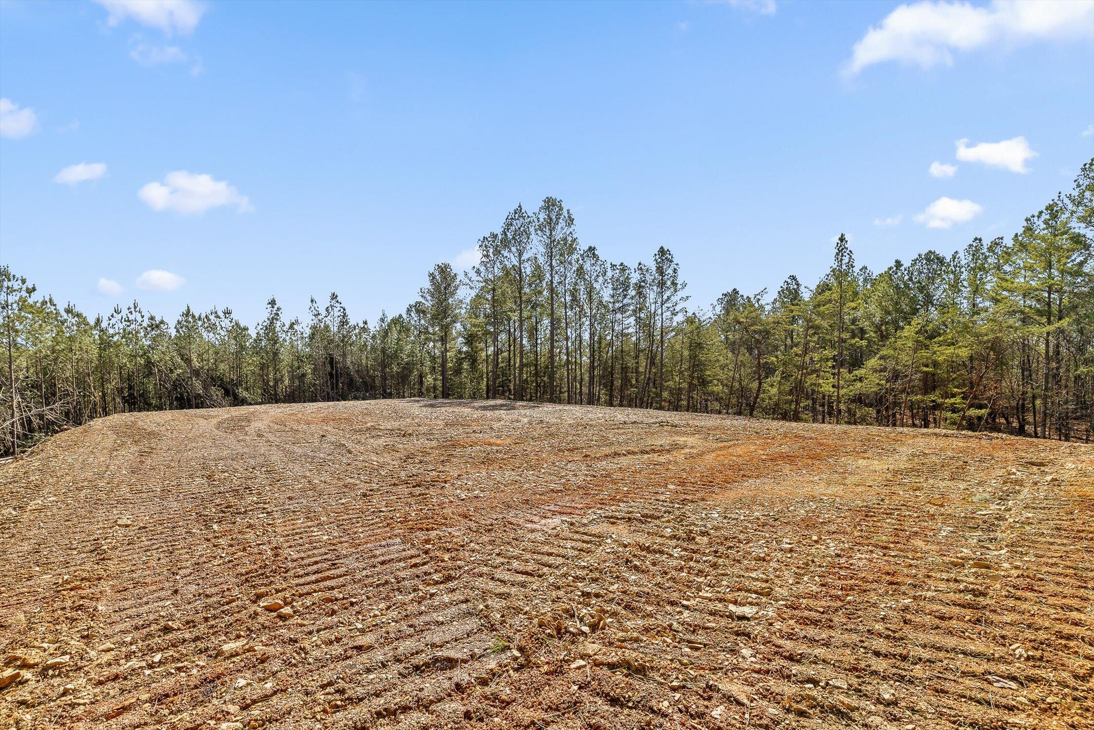 1 Conniston Road Chatsworth, GA 30705 - Photo 8 of 31 04-Tract 1 -3