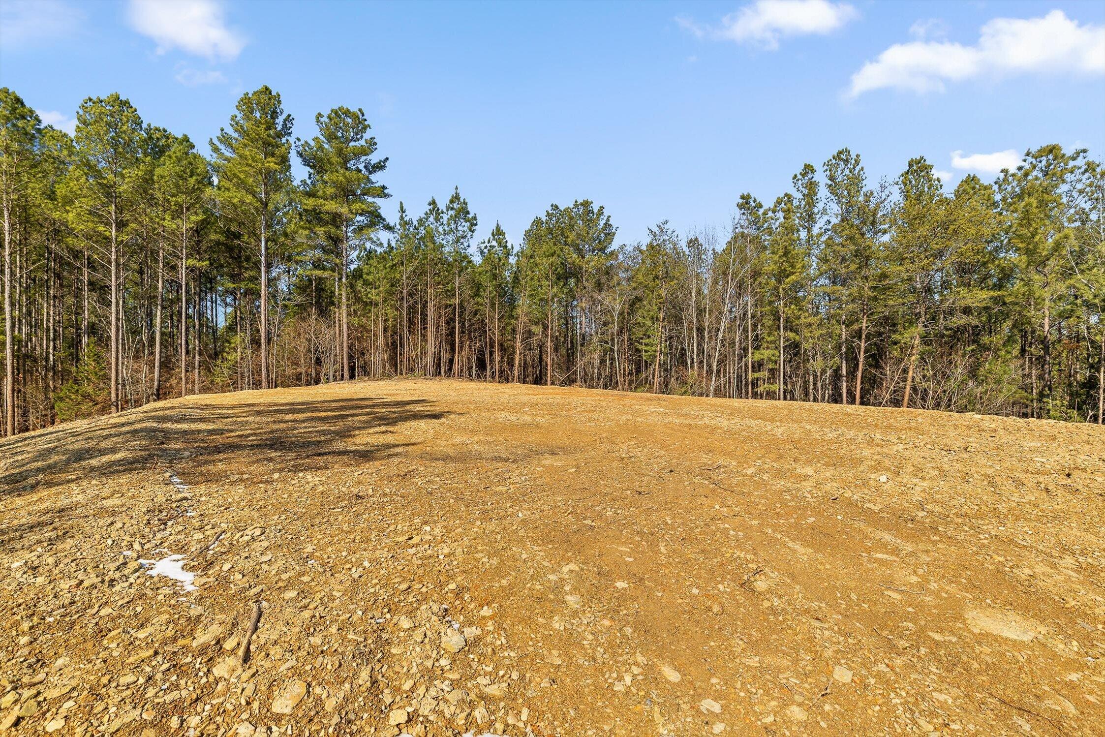 1 Conniston Road Chatsworth, GA 30705 - Photo 9 of 31 03-Tract 1 -2