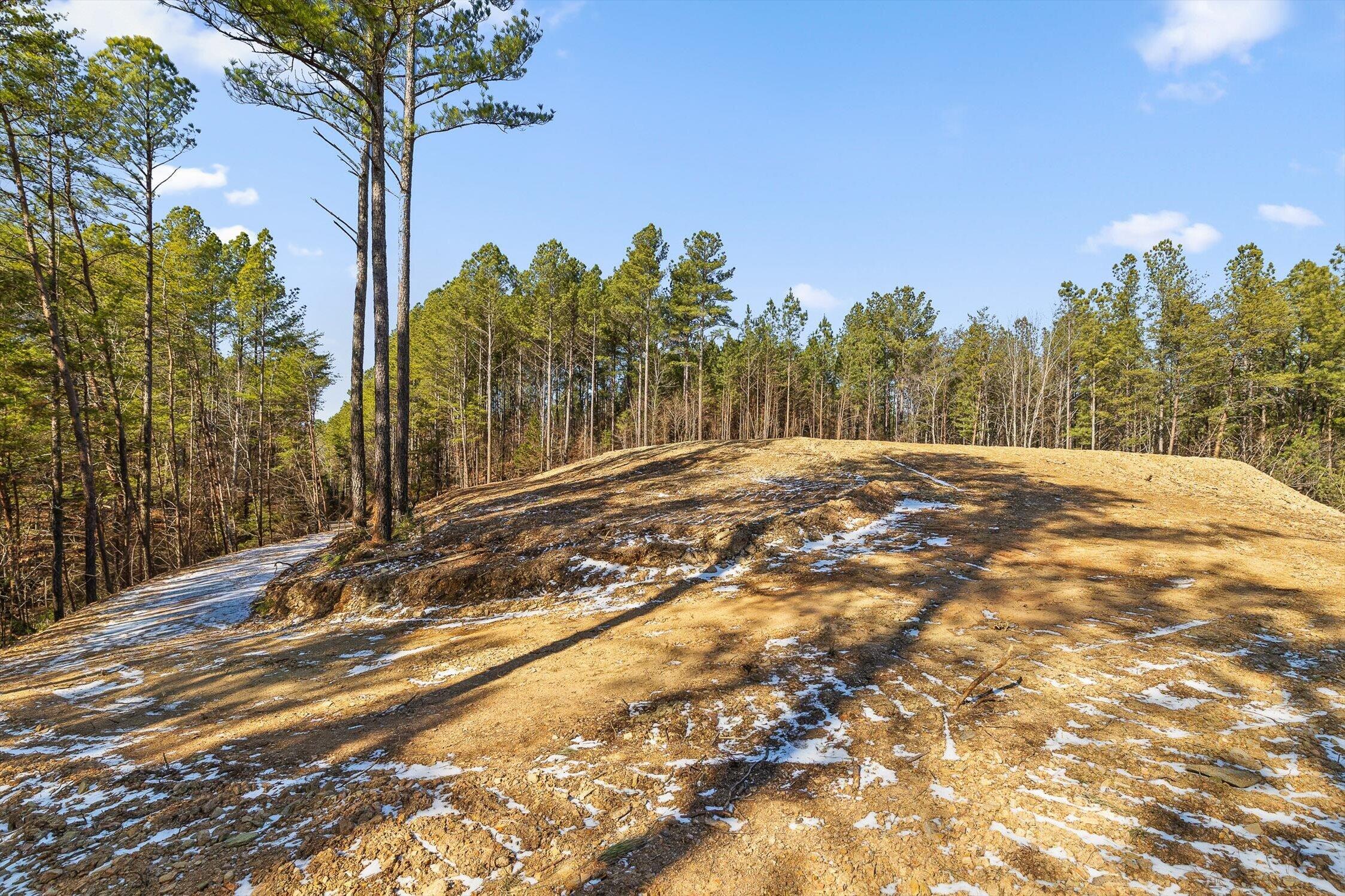 1 Conniston Road Chatsworth, GA 30705 - Photo 10 of 31 02-Tract 1 -1