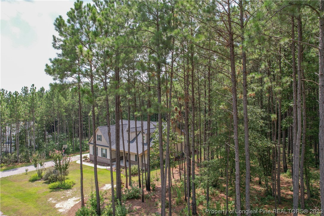 500 Bristling Pine Road Carthage, NC 28327 - Photo 3 of 50 Gallery Image 3