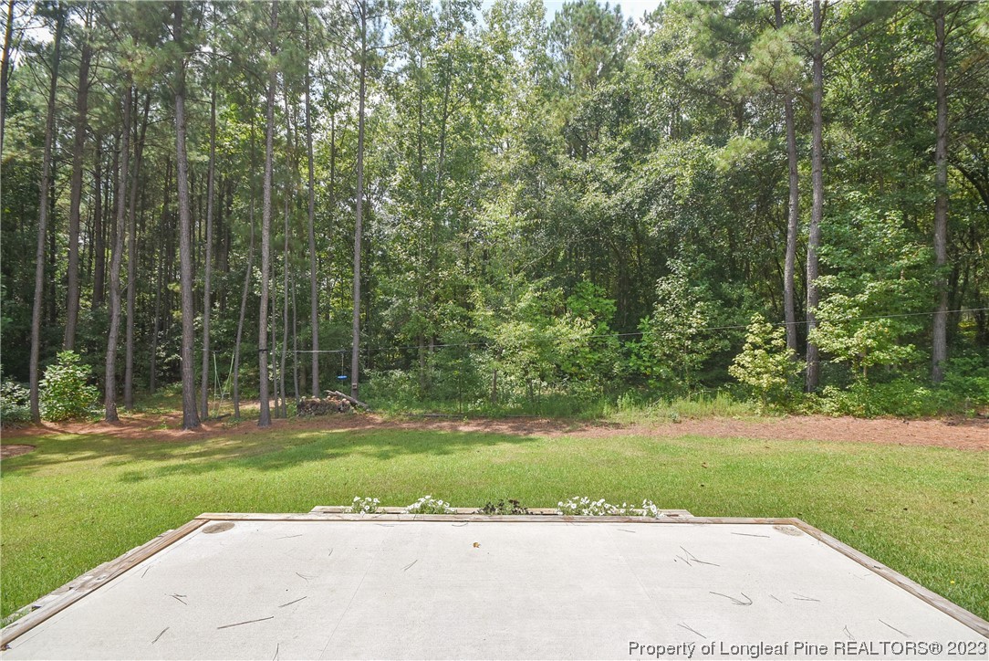 500 Bristling Pine Road Carthage, NC 28327 - Photo 39 of 50 Gallery Image 39