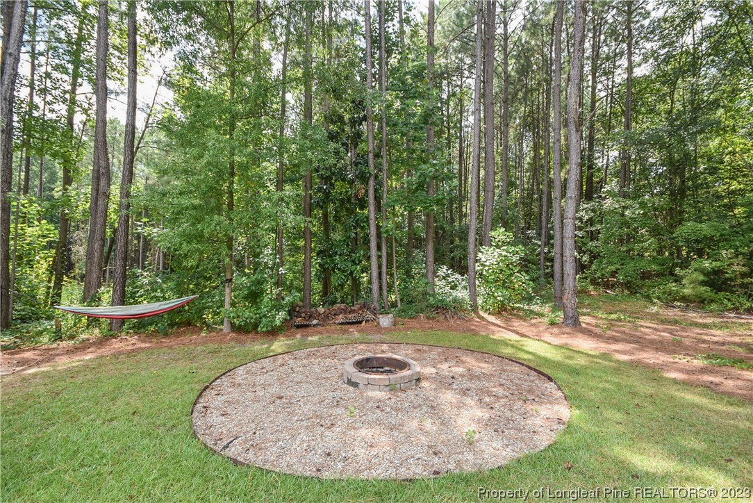 500 Bristling Pine Road Carthage, NC 28327 - Photo 44 of 50 Gallery Image 44