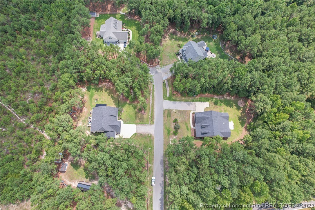 500 Bristling Pine Road Carthage, NC 28327 - Photo 46 of 50 Gallery Image 46