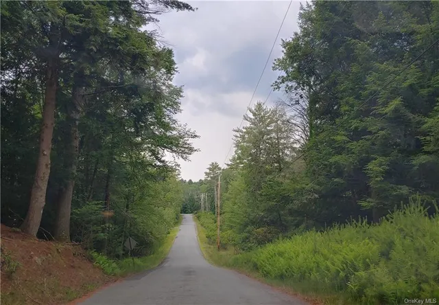 $25,000 | Brady Avenue, Smallwood, NY 12720