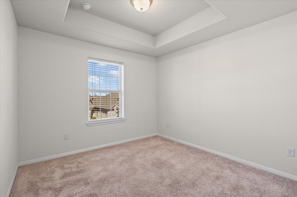 1609 Catalan Road, Unit 1802 Austin, TX 78748 - Photo 20 of 25 Unfurnished room with carpet flooring and a tray ceiling