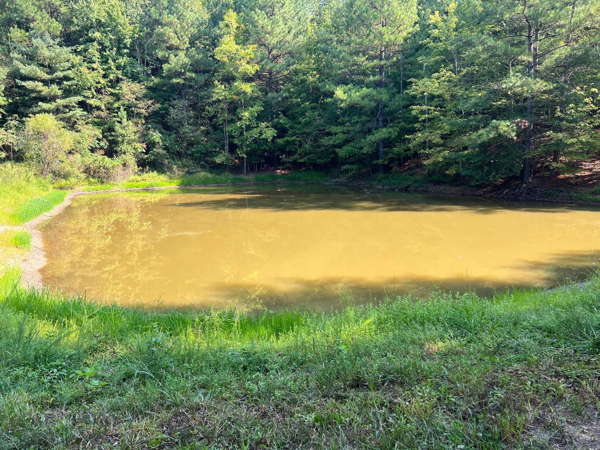 1440 Landsaw Road Campton, KY 41301 - Photo 9 of 27 6