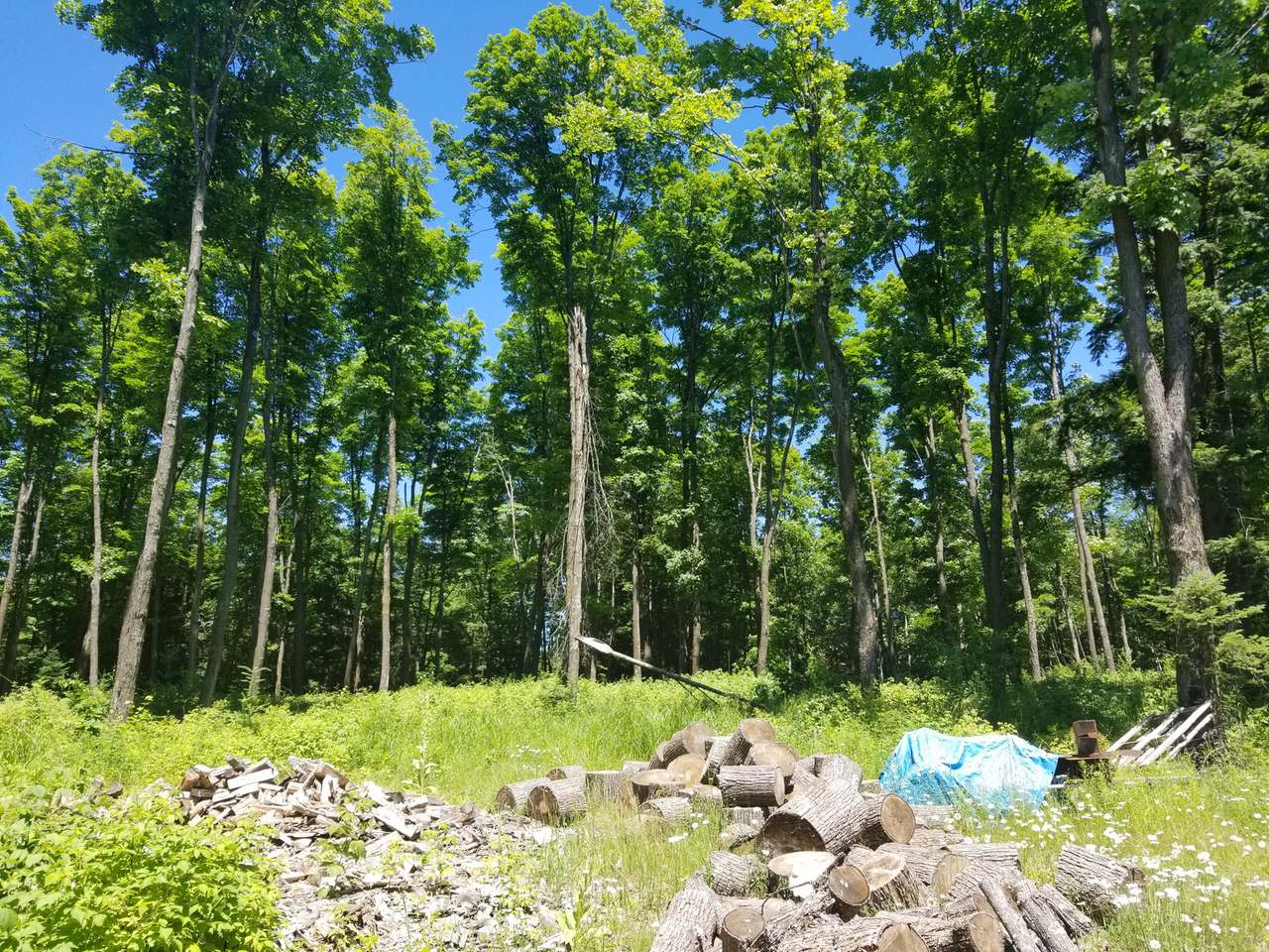 80-ac 80-ac Cth B Road Manitowish Waters, WI 54545 - Photo 6 of 23 Gallery Image 6