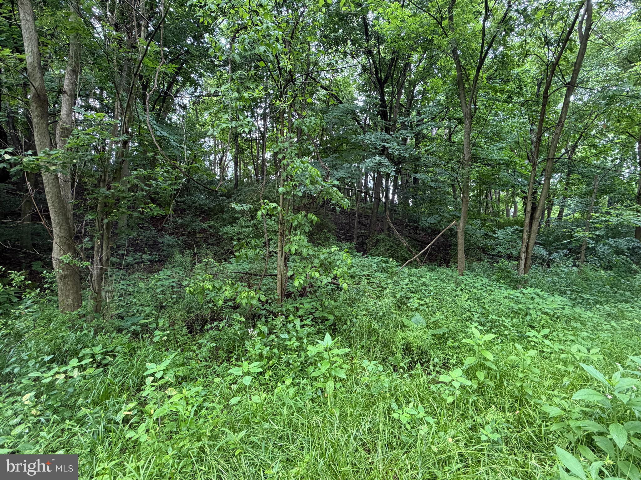 0 Monroe Street Everett, PA 15537 - Photo 10 of 14