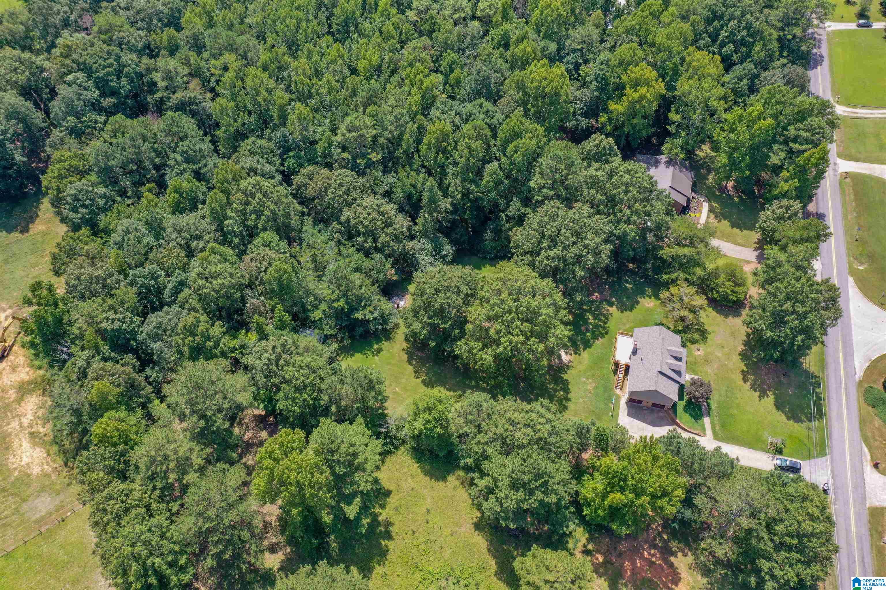 7683 Clayton Road Pinson, AL 35126 - Photo 46 of 53