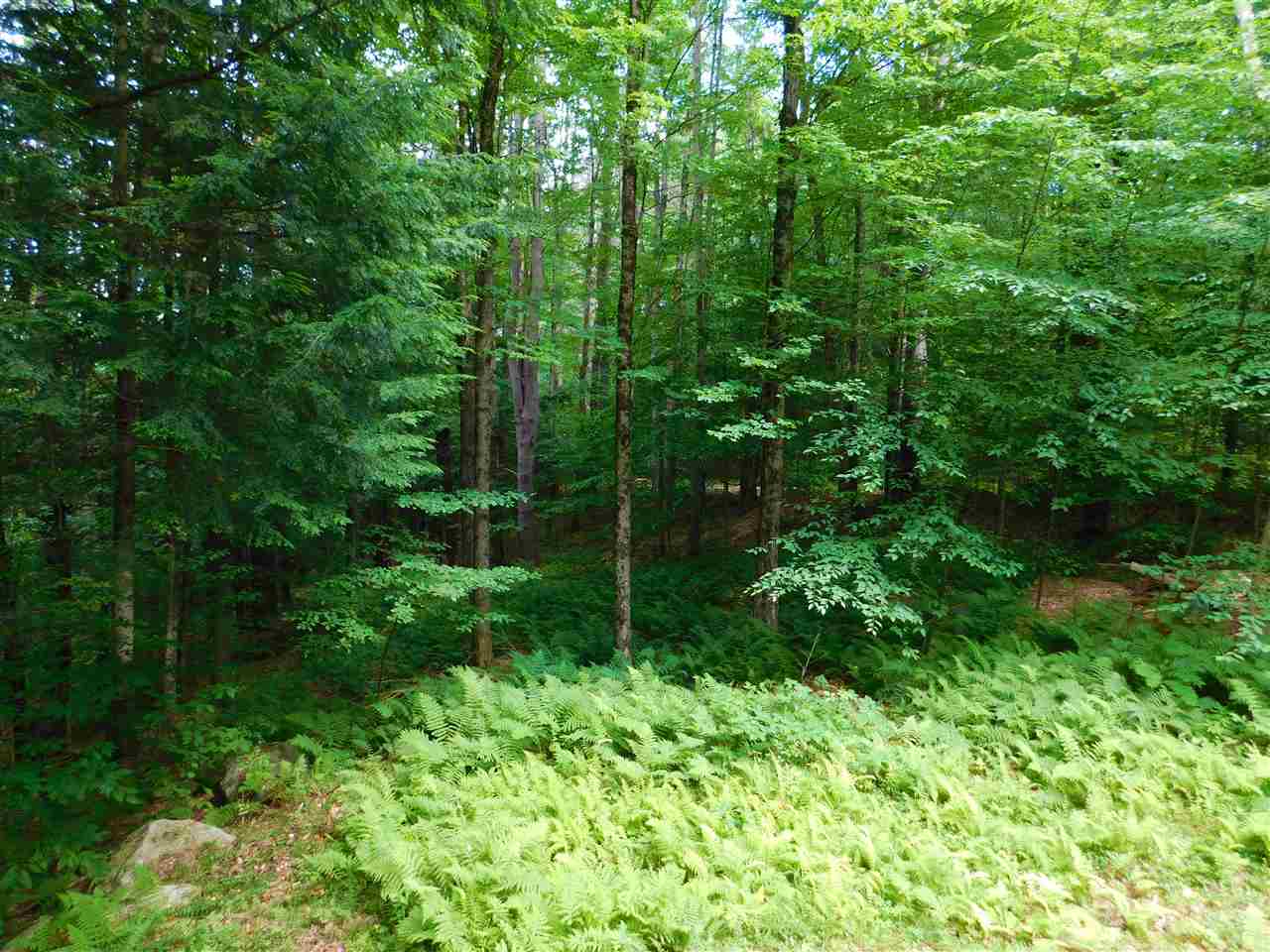 342 Marshall Road Chester, VT 05143 - Photo 14 of 16