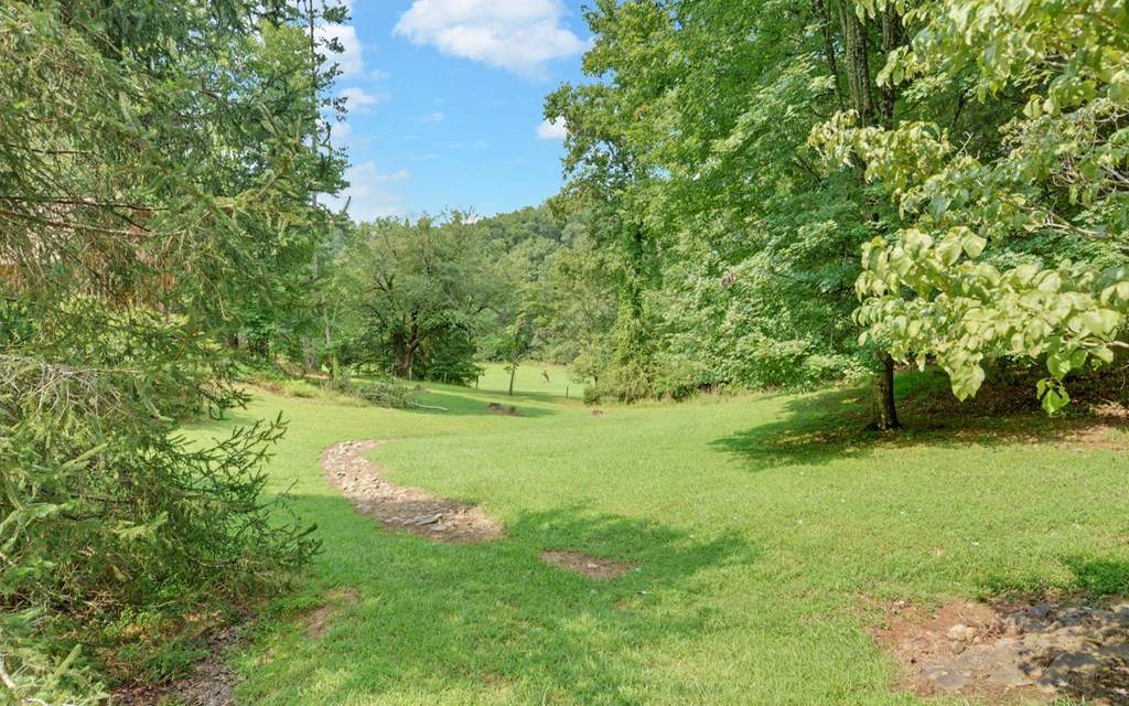 475 Rivercane Road Brasstown, NC 28902 - Photo 53 of 71