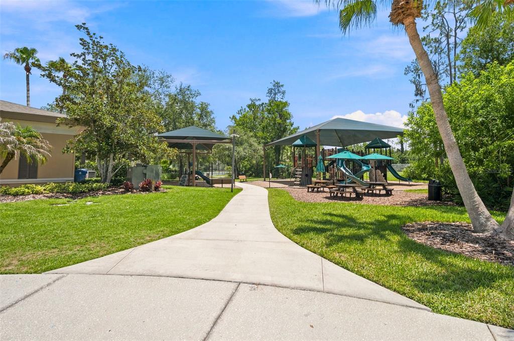 3449 Loggerhead Way Wesley Chapel, FL 33544 - Photo 41 of 52