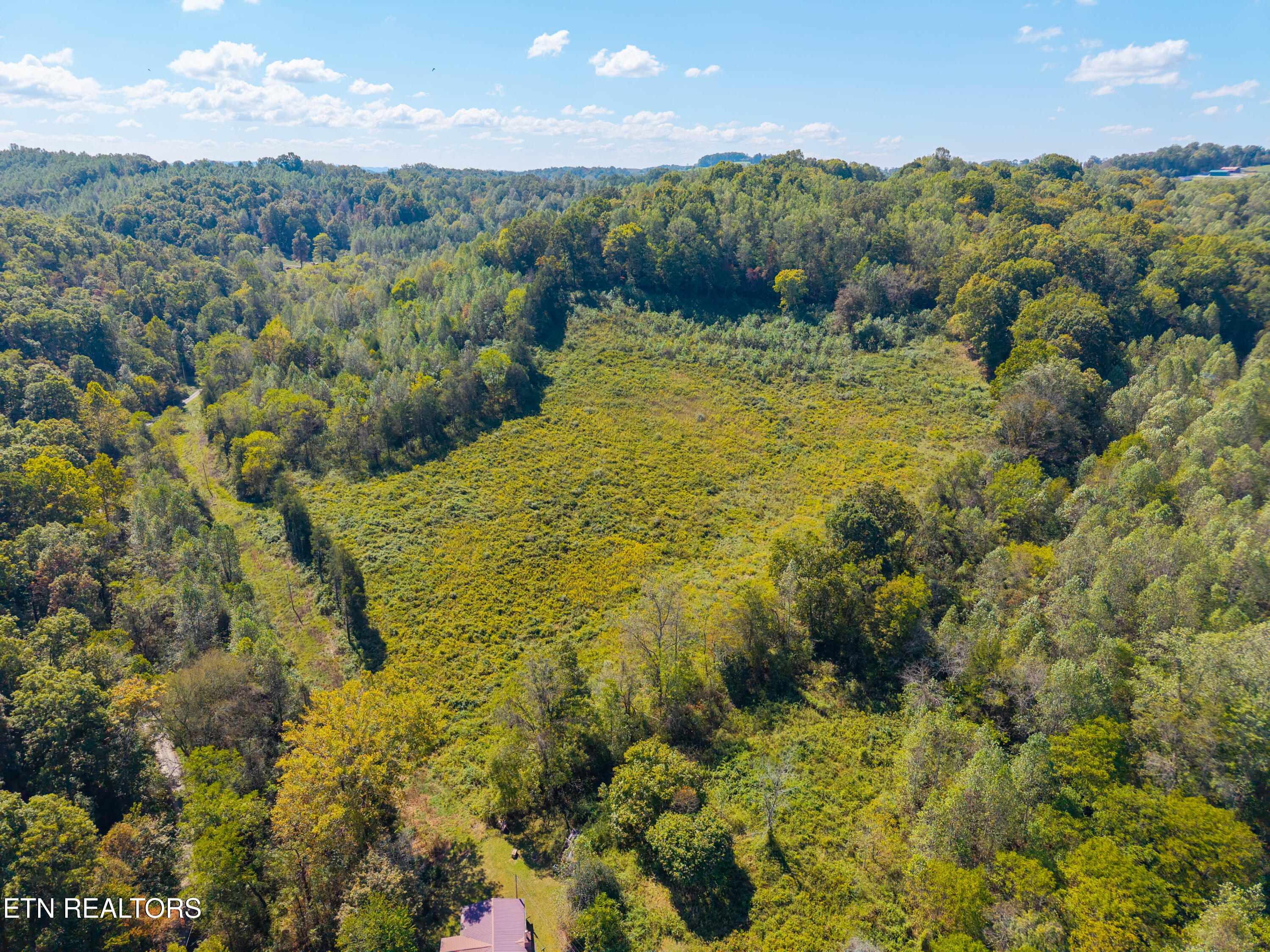 427 Daniel Hollow Road New Tazewell, TN 37825 - Photo 4 of 6 18 secluded, unrestricted acres