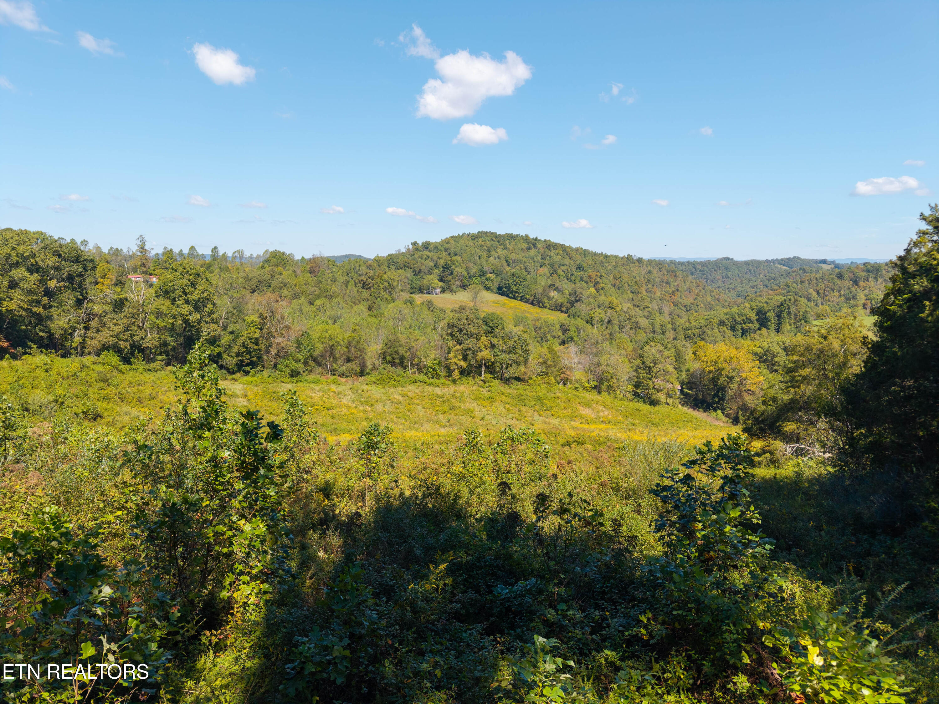 427 Daniel Hollow Road New Tazewell, TN 37825 - Photo 5 of 6 18 secluded, unrestricted acres