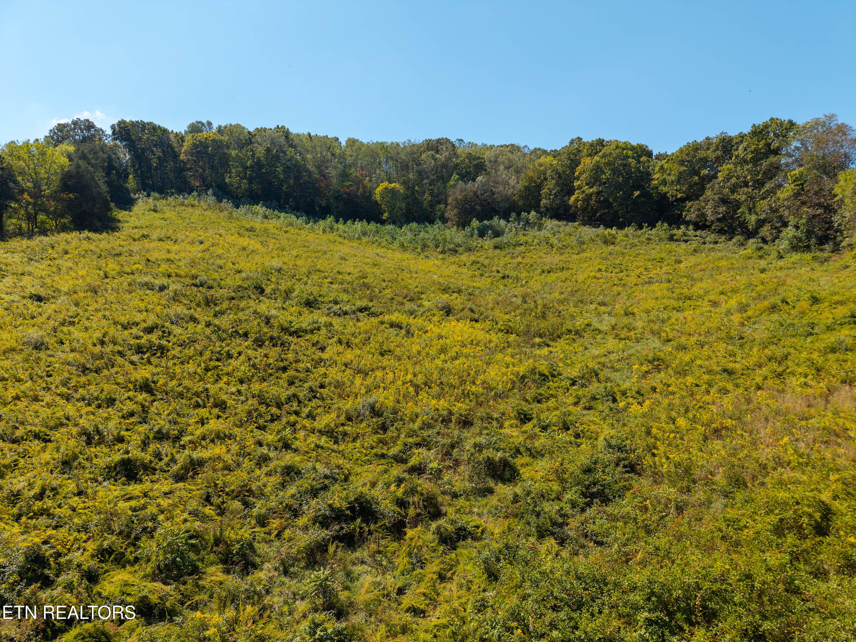 427 Daniel Hollow Road New Tazewell, TN 37825 - Photo 6 of 6 DJI_20250929134444_0018_D
