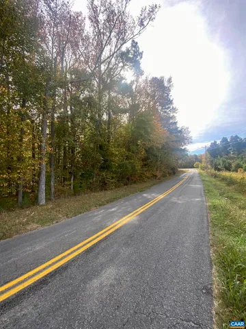 a view of a yard with large trees