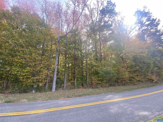 a view of a yard with an trees