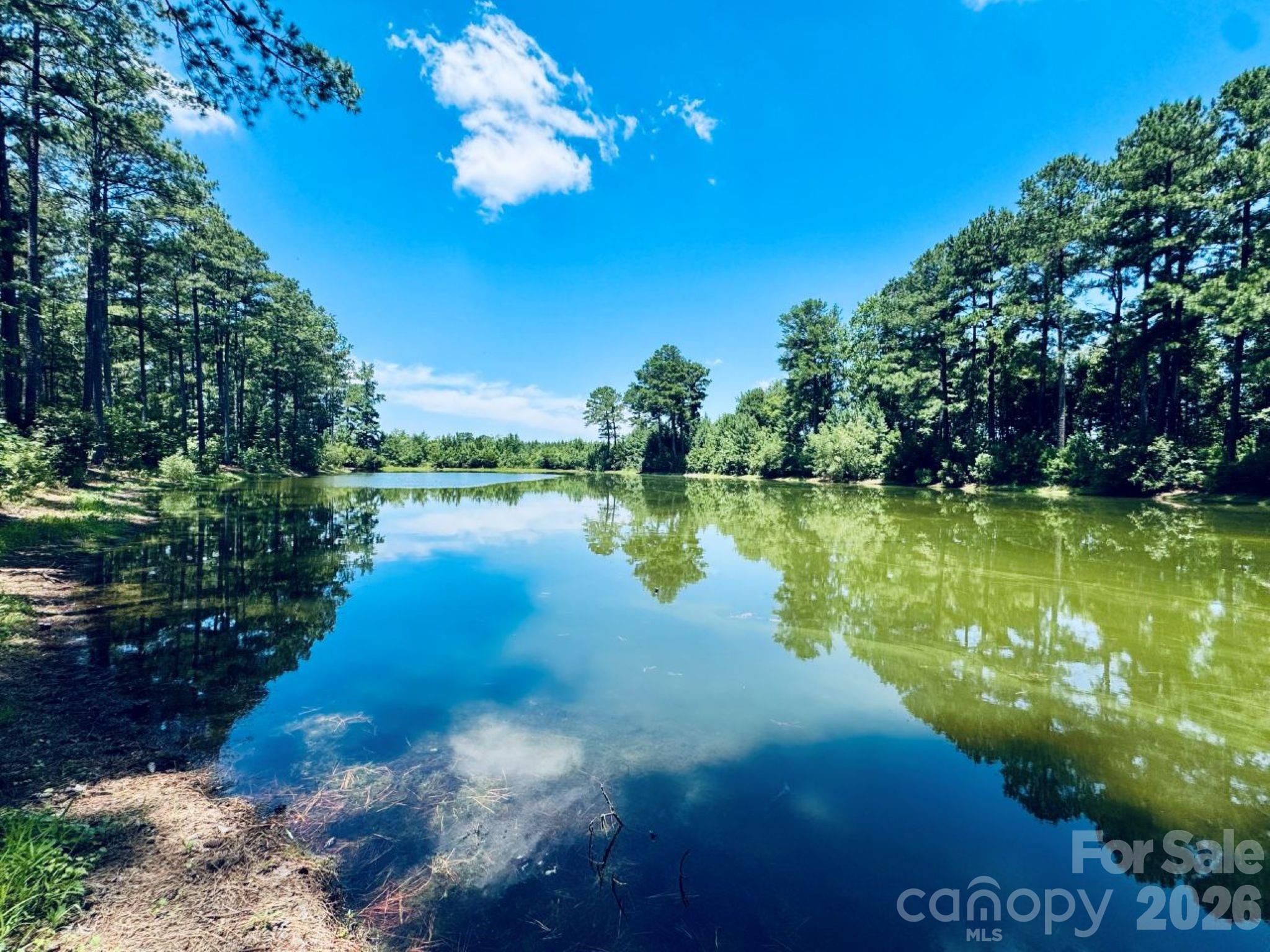 5326 Judson Road Clio, SC 29525 - Photo 24 of 29