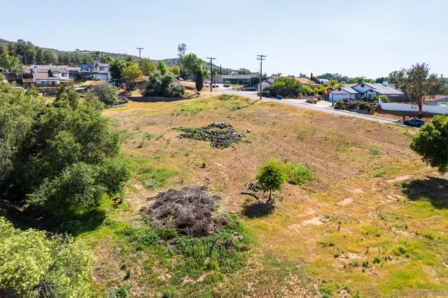a view of a yard with plants