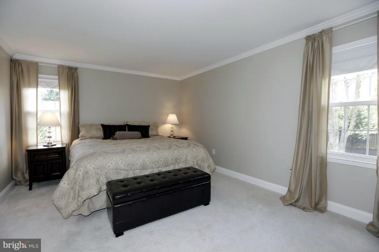 13404 Briar Path Lane Silver Spring, MD 20906 - Photo 9 of 30 Master Bedroom